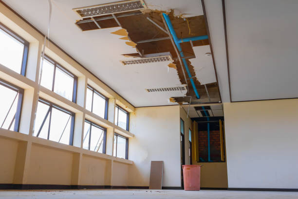 Best Water damage repair service  in Natalia, TX
