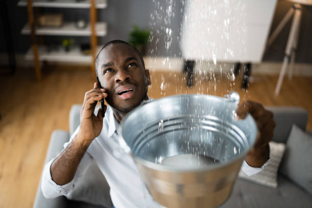 Best Professional water damage repair  in Natalia, TX
