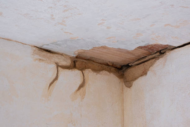 Best Flood restoration services  in Natalia, TX