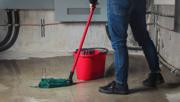 Best Emergency water damage restoration  in Natalia, TX