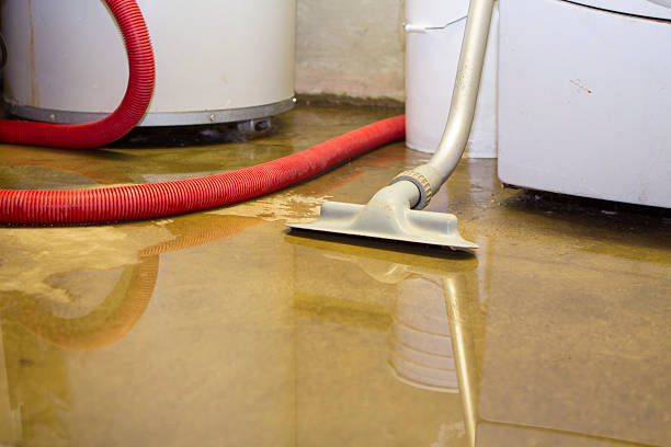Best Flood restoration services  in Natalia, TX