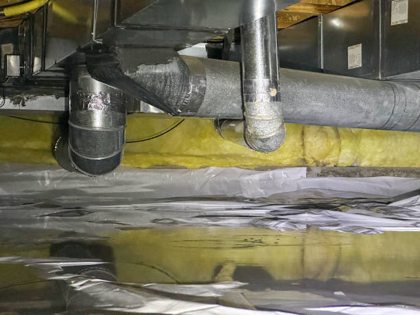 Best 24/7 water damage repair  in Natalia, TX