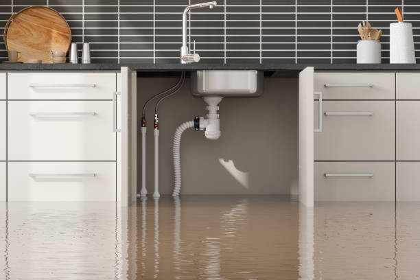Best Basement water damage restoration  in Natalia, TX