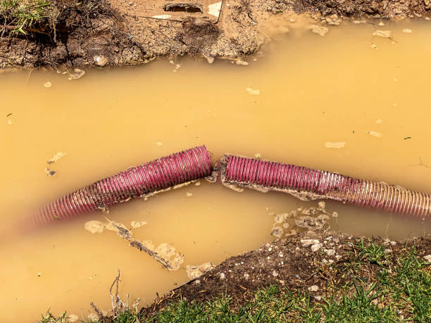 Best Sewage cleanup and water damage restoration  in Natalia, TX