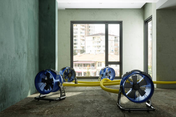 Best Fire Damage Restoration  in Natalia, TX
